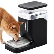 ZOMISIA 8L Automatic Dog Water Dispenser, 2 Gallon Gravity Pet Waterer with Stainless Steel Bowl, BPA-Free, Self-Watering System for Dogs, Black