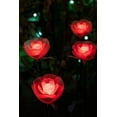 thumbnail image 2 of Haddad, Sheila 13x18 White Modern Wood Framed Museum Art Print Titled - Illuminated red roses of the Ashikaga Flower park-Japan-at night in winter, 2 of 4