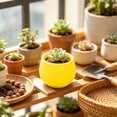 thumbnail image 6 of Round Mini Plastic Succulent Planter Pot, Colorful Small Desktop Flower Container, Lightweight Nursery Plant Pot For Cactus, Herb, Bonsai, Ideal For Home, Office, Balcony And Indoor Desktop Decor, 6 of 6
