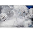 thumbnail image 3 of Allen, Kimberly 24x17 Black Modern Framed Museum Art Print Titled - Frosted Ornaments, 3 of 5