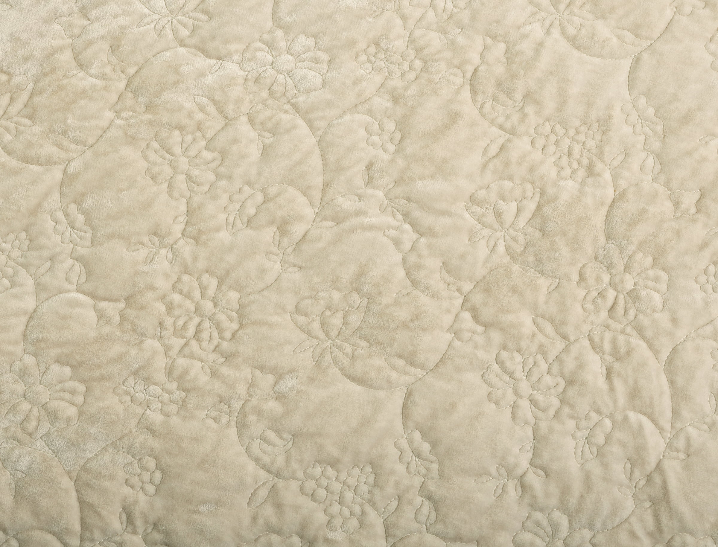 The Pioneer Woman Eloise Floral Velvet Pillow Shams, King, Beige, 2 Pack