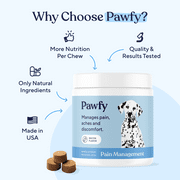 Pawfy Hip & Joint Supplement for Dogs, Glucosamine Chondroitin MSM & Omega-3 | 30 Chews
