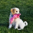 thumbnail image 2 of Li'l Pals Crinkle Elephant Dog Toy - 1 count (8" Long), 2 of 2