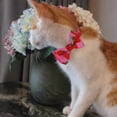 thumbnail image 3 of Nuevo Pet Fruit Bow Ribbon Cat Collar Bow Desmontable Desmontable Bell Adepaton CPB-US-YY416-1, 3 of 5