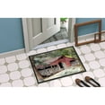 thumbnail image 2 of Carolines Treasures 8740JMAT Old Barn Doormat 24x36 36"L x 24"W multicolor, 2 of 4