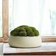 thumbnail image 2 of Olly & Rose Large Ceramic Planter Bowl for Plants Flowers Succulents Cactus Shallow Plant Pot Cream Garden Decor, 2 of 6