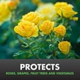 thumbnail image 3 of Spectracide Bag-A-Bug Japanese Beetle Trap, Dual Lure System, 3 of 3