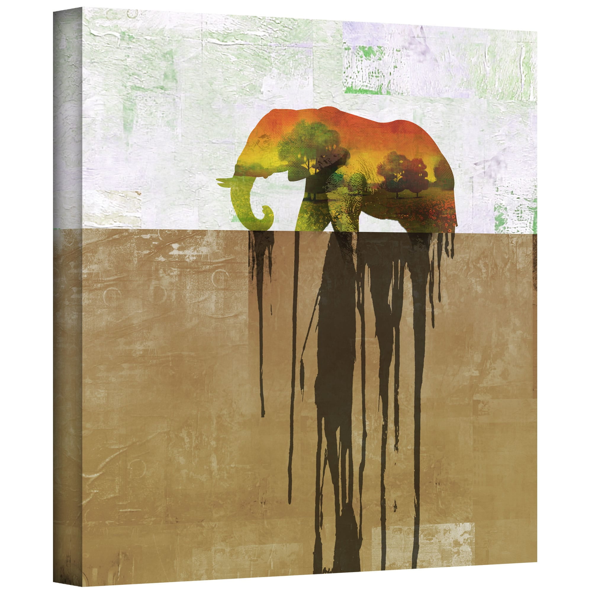 ArtWall Greg Simanson "Dissolve II" Gallery-wrapped Canvas