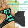 thumbnail image 3 of rabbitgoo No-Pull Pet Harness with 2 Leash Clips  Adjustable Soft Padded  Reflective No-Choke Pet Oxford Vest with Easy Control Handle for Large Dogs  Pink  L, 3 of 9