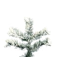 thumbnail image 4 of Vickerman A806380 9 X 73 Pin Alaskien Floqué 2059T, 4 of 8