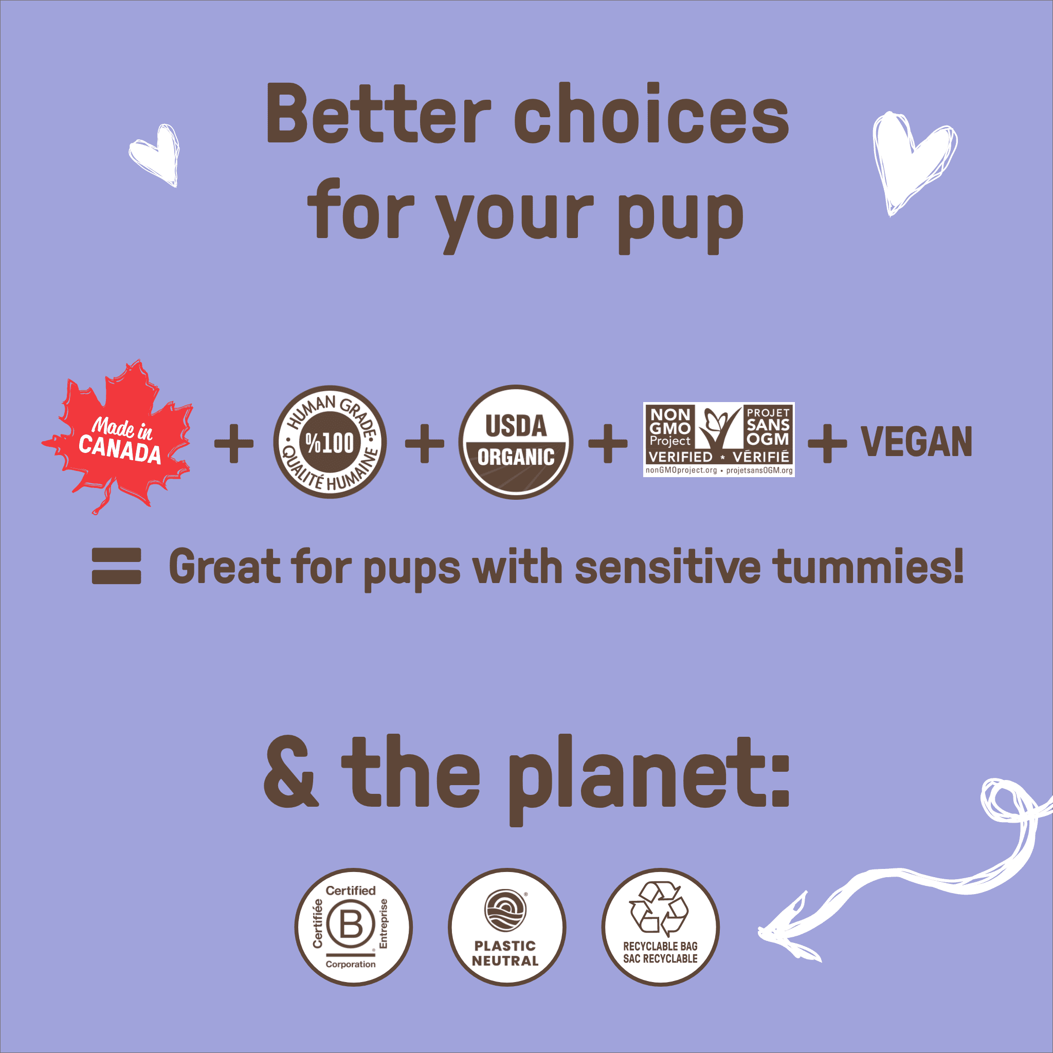 COOKIE PAL Blueberry & Pumpkin Soft Baked Bites Human Grade and Organic Dog Treats 250g, COOKIE PAL B&P 250g