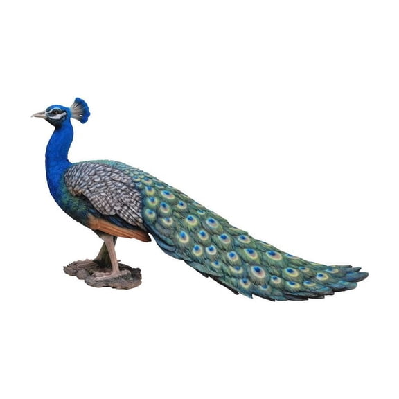 HI-LINE GIFT LTD. PEACOCK