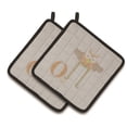 thumbnail image 1 of Carolines Treasures BB5740PTHD Alphabet O pour Porte-Pots de Hibou, 1 of 1