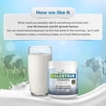 thumbnail image 4 of Wellness Extract Bovine Colostrum Protein Powder, Certified Supplement, Collected Within 6 Hrs for Max Bioavailability, Rich in IgG, IgA & Lactoferrin for Immunity, Gut & Muscle Recovery, 150g, 4 of 9