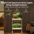 thumbnail image 6 of SUNCOZE 2-Tier Hydroponics Growing System Kit with 24 Pods – Full Spectrum Grow Lights Hydroponics System equipped with smart controller, Indoor Herb Garden Kit, 6 of 9