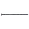 thumbnail image 1 of 461640 2.5 in. X 10D, Galvanized Finish Nails, 1 of 1