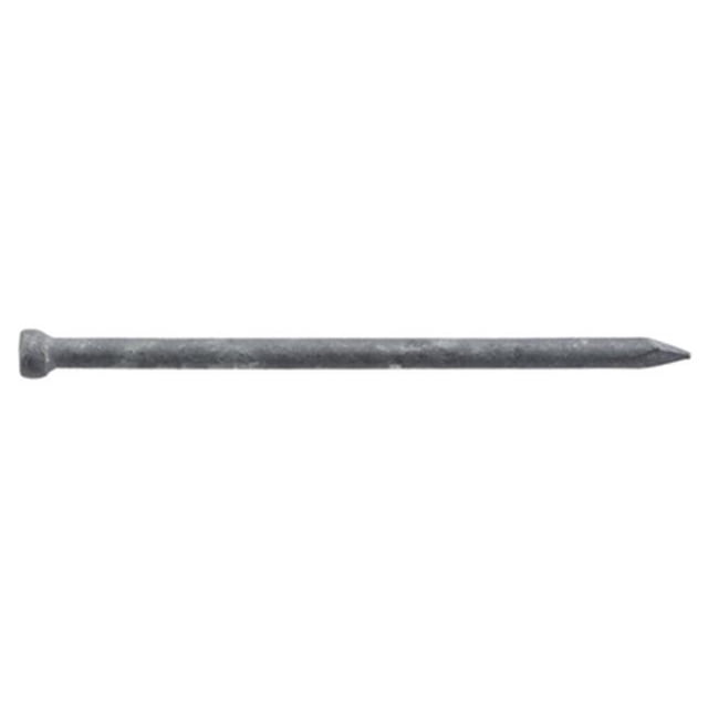 461640 2.5 in. X 10D, Galvanized Finish Nails