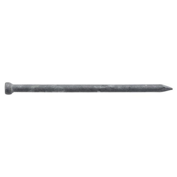 461640 2.5 in. X 10D, Galvanized Finish Nails
