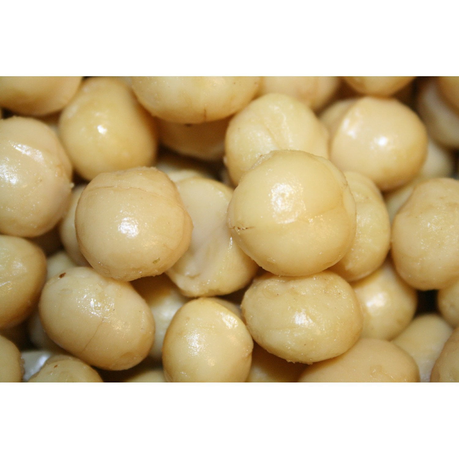 BAYSIDE CANDY MACADAMIA NUTS ROASTED SALTED, 1LB