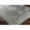 thumbnail image 2 of Hauteloom Macgregor Living Room, Bedroom Area Rug - Traditional - Gray, Green - 2' x 3', 2 of 8