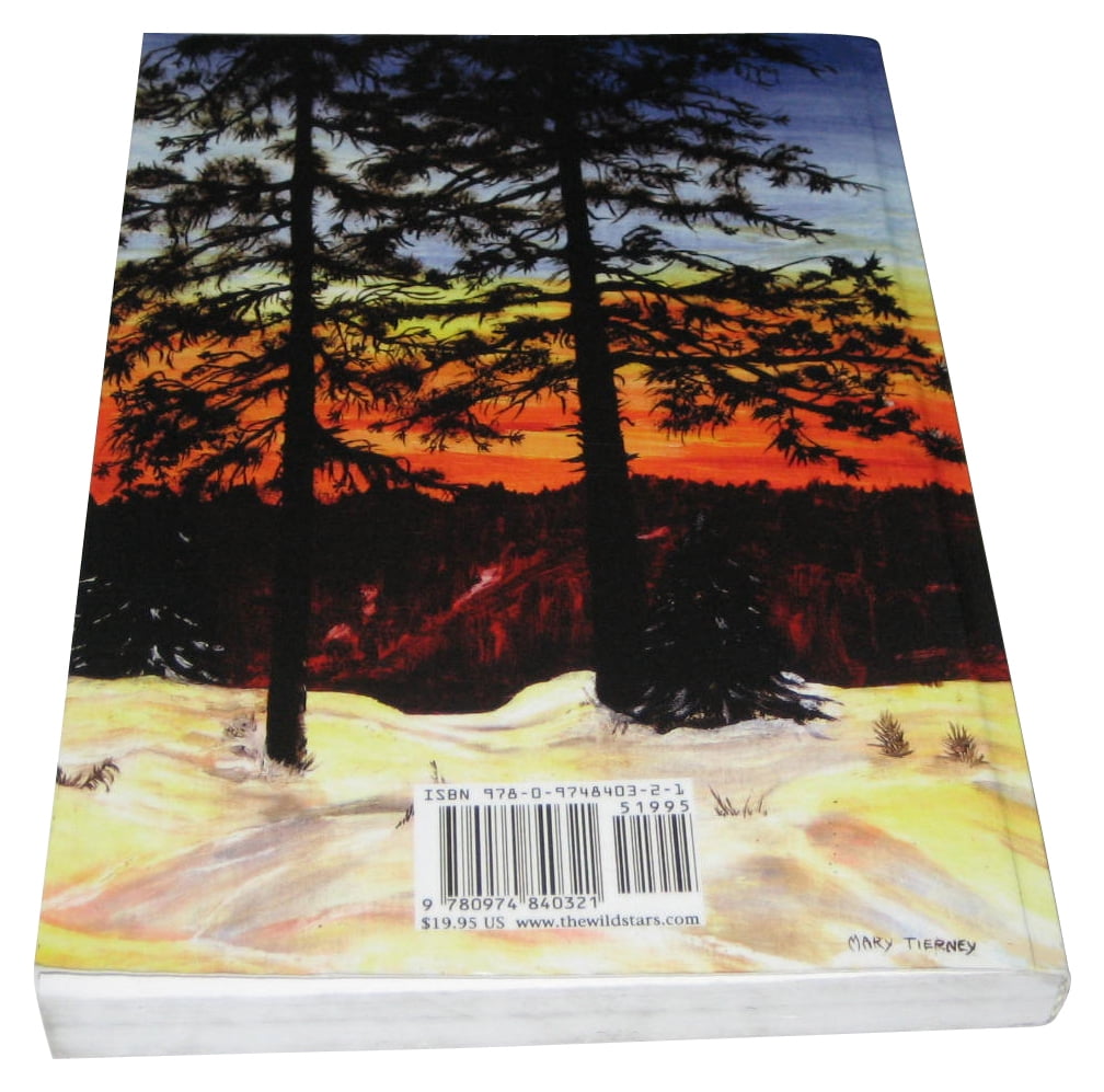 Wild Stars: The Book of Circles - Recalibrated (Paperback)