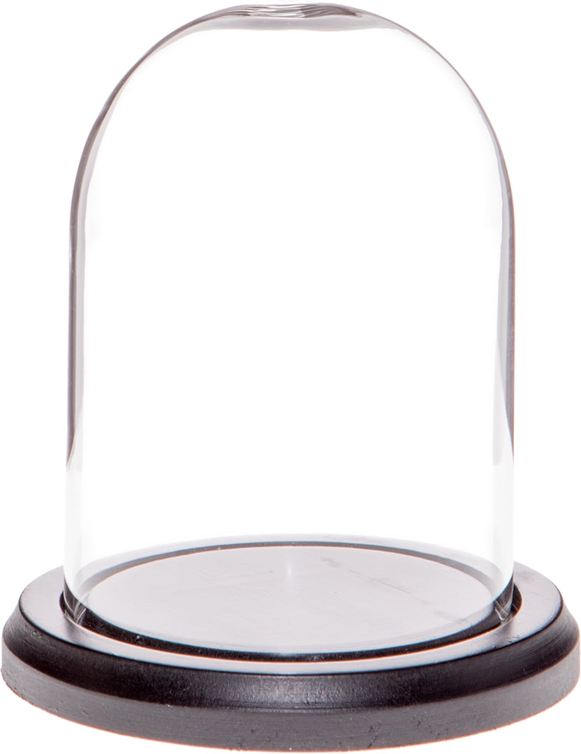 Plymor 4 x 4 Glass Display Dome Cloche Dark Mahogany Veneer Base