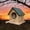 Green, variant on Solid Wood Outdoor Bird House, Rainproof Hanging Bird Nests, Warm Hatching Nest, Weather Resistant Bird Feeder, Garden Decor, Backyard Bird Shelter, Multi Use Blue