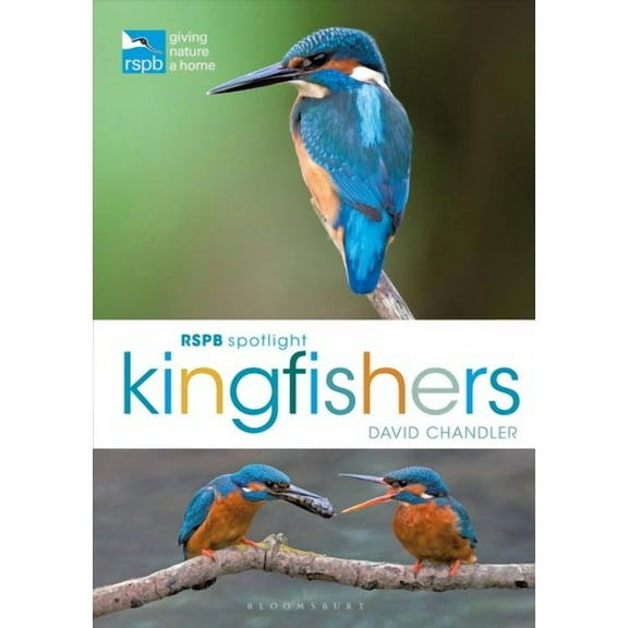 RSPB: RSPB Spotlight Kingfishers (Paperback)