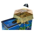 thumbnail image 2 of Tortue Penn-Plax Topper, 2 of 9