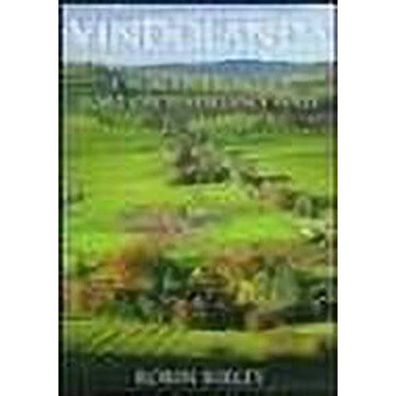 Vindolanda : Everyday Life on Rome's Northern Frontier (Paperback)