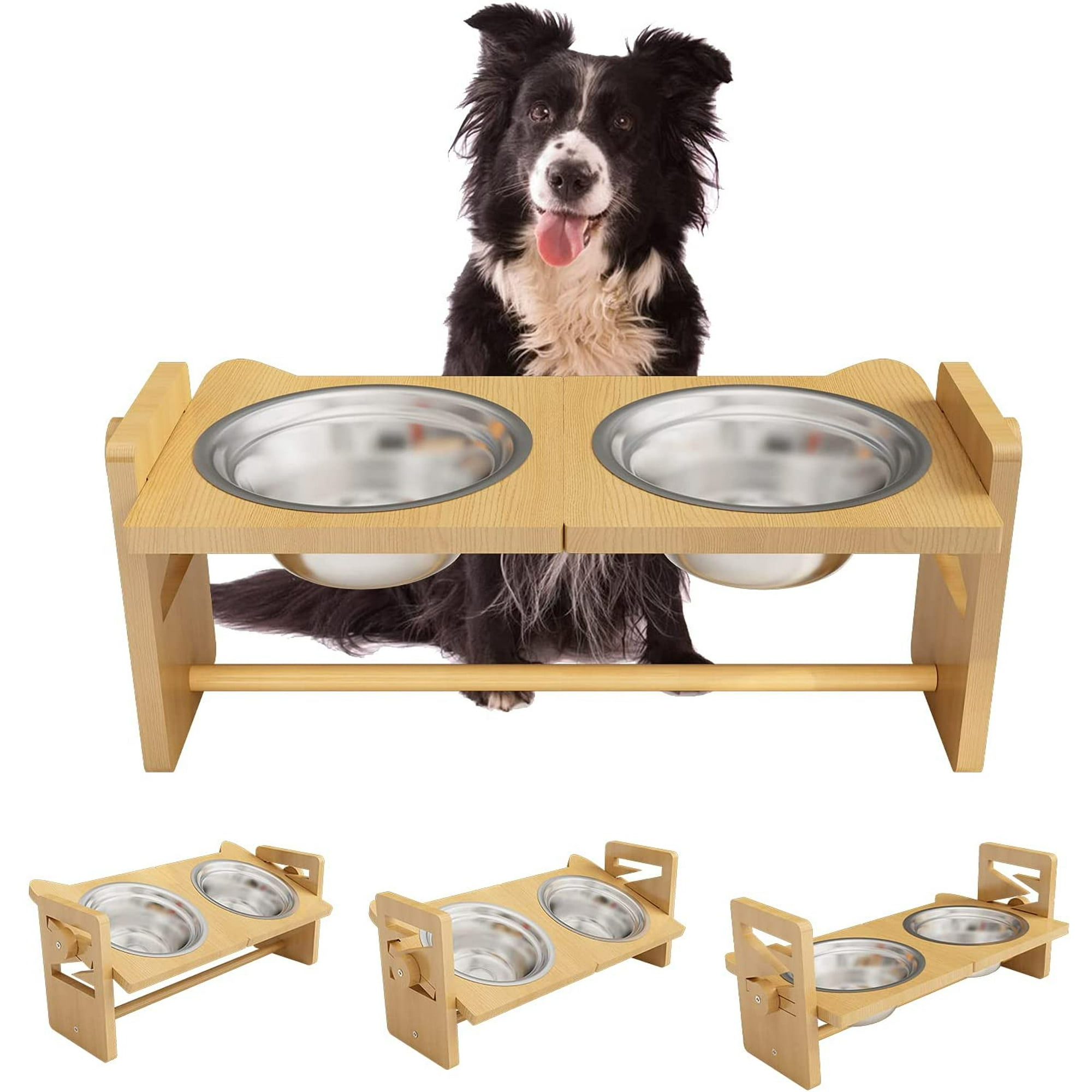 Should My Dogs Food Bowl Be Elevated
