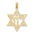 thumbnail image 4 of FJC Finejewelers 14k Yellow Gold Star Of David with Chi Center - Jewish Charm, 4 of 4