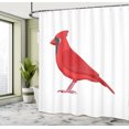thumbnail image 4 of Ambesonne Cardinal Shower Curtain, Cartoon Red Bird Drawing, 69"Wx84"L, Dark Pink and Slate Blue, 4 of 4