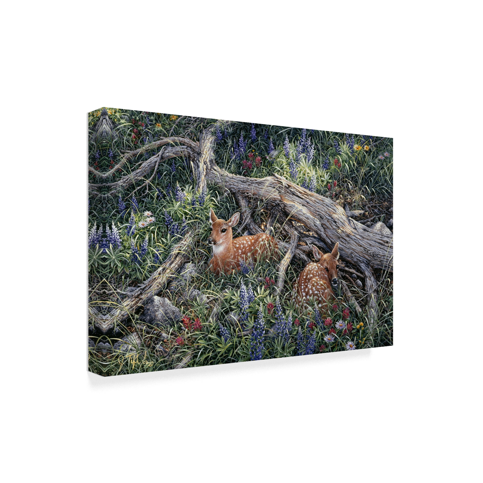 Trademark Fine Art 'Fawns And Flowers' Canvas Art by Jeff Tift