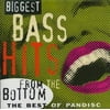 Biggest Bass Hits From The Bottom: The Best Of Pandisc