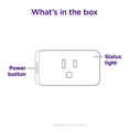 Roku Smart Home Indoor Smart Plug SE with Custom Scheduling, Remote