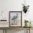 thumbnail image 5 of Blue Heron I -Framed Print w/glass-Walnut, 5 of 7