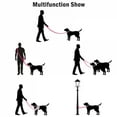 thumbnail image 4 of 2.5cm Nylon Hand Free Dogs Leash Walking Training Lead Police Style Control Dog Lead Leash Small Dog Chain Safety Pet Leashes, 4 of 9