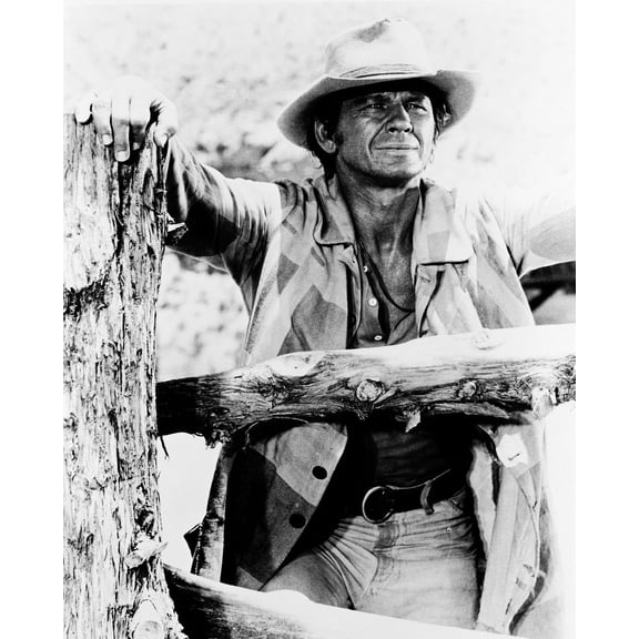 Once Upon A Time In West Charles Bronson As Harmonica 24x36 Classic Hollywood Poster