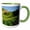 Green/White, variant on 3drose, Usa, Washington, Mt. Rainier. Summer Wildflowers - Us48 Rdu0215 - Richard Duval, 11oz Mug