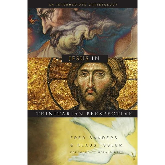 Jesus in Trinitarian Perspective : An Introductory Christology (Paperback)