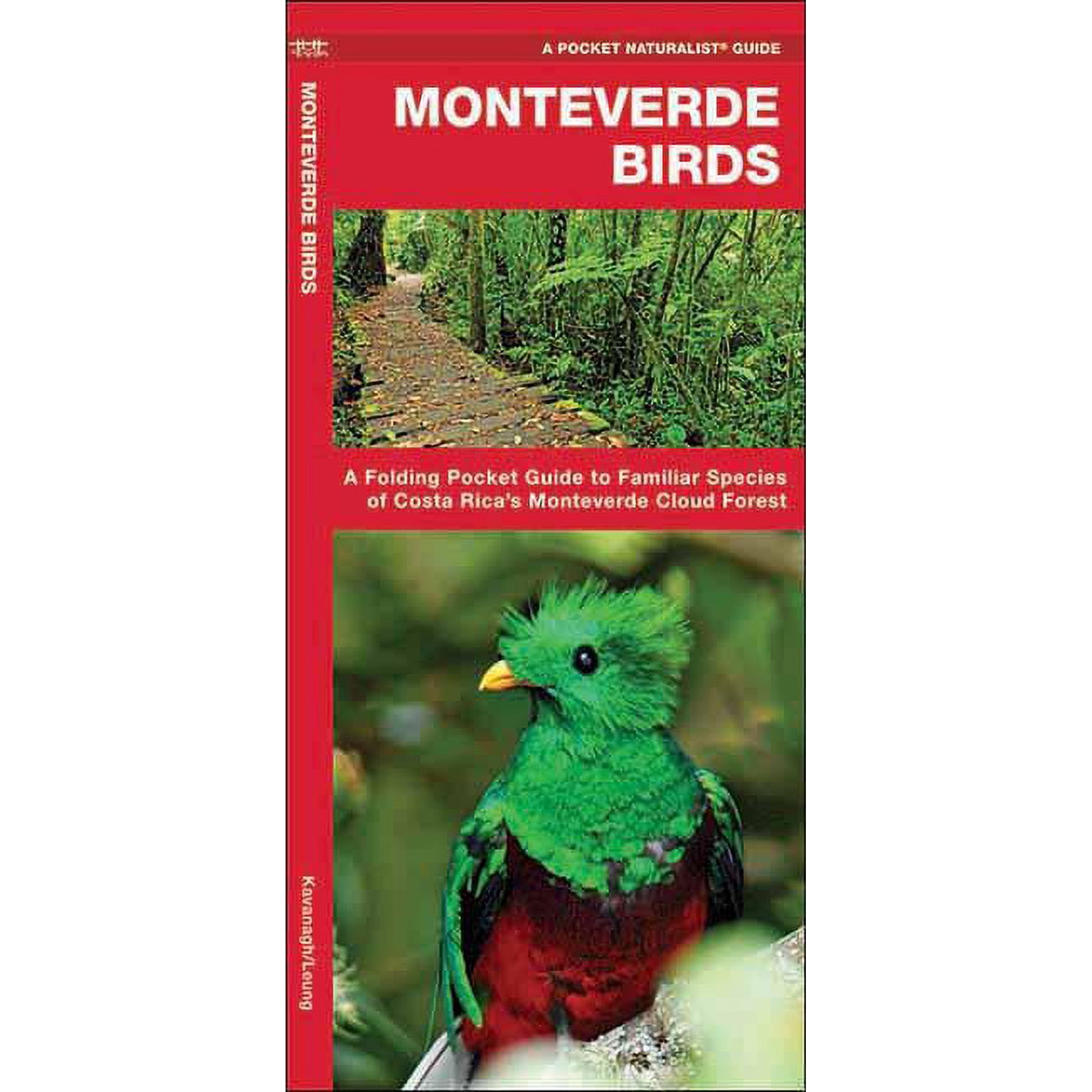 Pocket Naturalist Guides: Monteverde Birds: A Folding Pocket Guide to Familiar Species of Costa Rica s Monteverde Cloud Forest (Other)