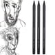 thumbnail image 4 of 3pcs Pure Carbon Sketch Pencil Professional Hard/Medium/Soft Woodless Charcoal Pen Drawing Set, 4 of 4