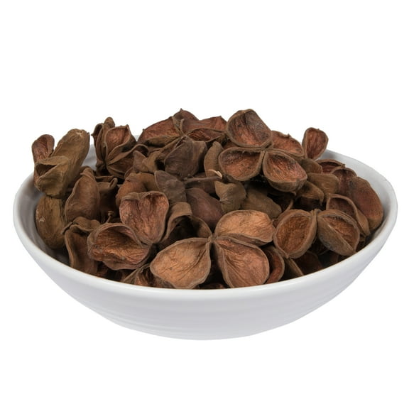 Vickerman Natural Botanicals 3.2"-4" Land Lotus. Includes 50 pieces per Pack.