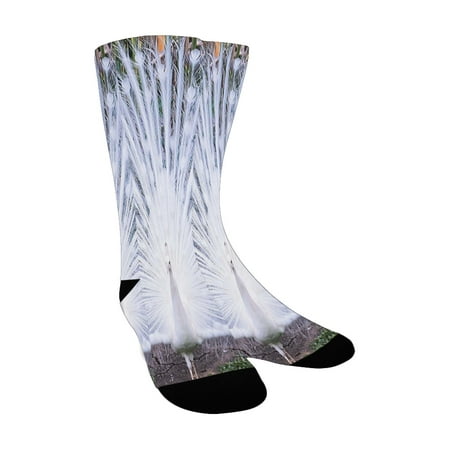 

Peacock Decor Peacock Open His Tail Feathers in Tropical Garden Unusual Birds Nature Ornament White Custom Socks for Women