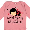 thumbnail image 4 of Inktastic Little Sister Ladybug Girls Long Sleeve Baby Bodysuit, 4 of 5