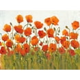 thumbnail image 2 of OToole, Tim 18x15 Black Ornate Wood Framed with Double Matting Museum Art Print Titled - Rows of Poppies I, 2 of 4