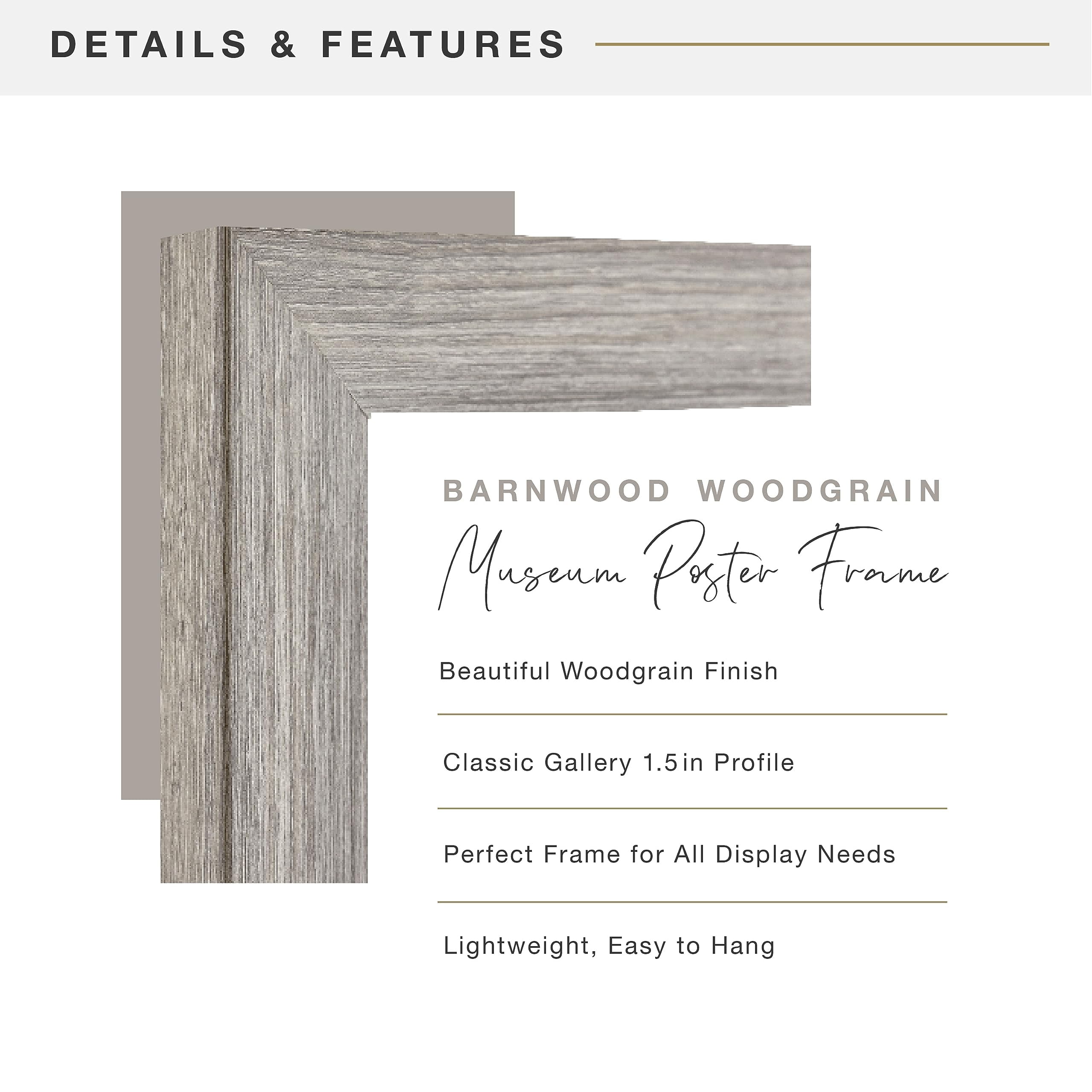 MCS Museum Poster Frame 18x24 Onyx Woodgrain, Vertical & Horizontal Wall Hanging Large Picture Frame for Photos, Posters & Art Prints (1-Pack)
