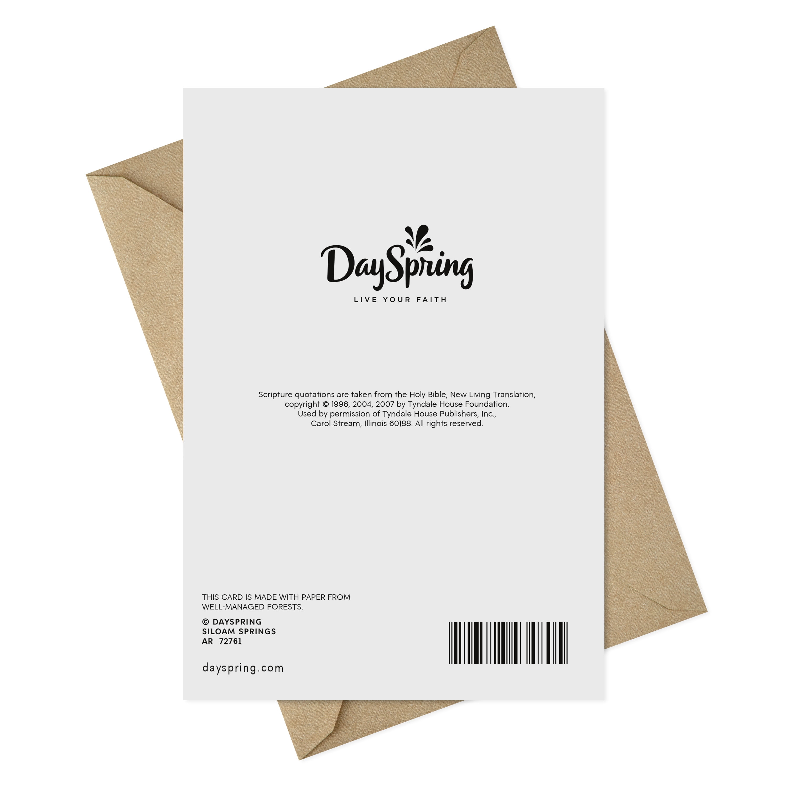 Dayspring Birthday Greeting Card (Dog in Party Hat)
