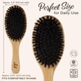thumbnail image 5 of Boar Bristle Hair Brush - Natural Boars Bristle Hairbrush for Women, Men & Kids, Soft Bristles for Thin and Fine Hair, Anti-Frizz & Tangle-Free Smoothing Brush, Gentle on Scalp, 5 of 8